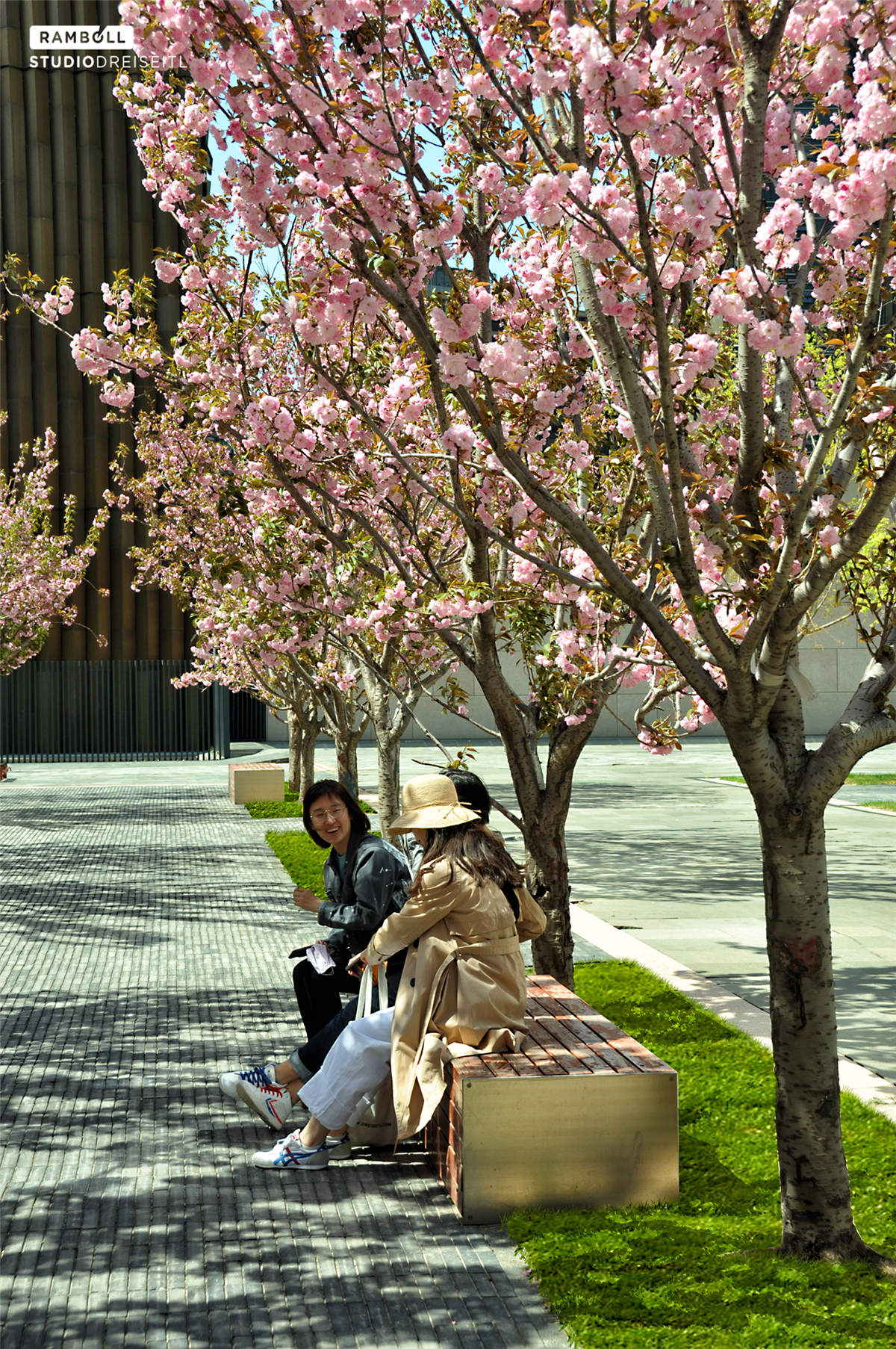 1542247117923336.jpg DSC_0486-01-1500.jpg