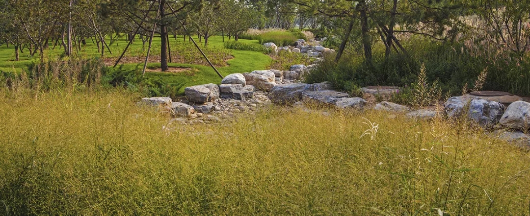 640.webp (15).jpg 640.webp (15).jpg