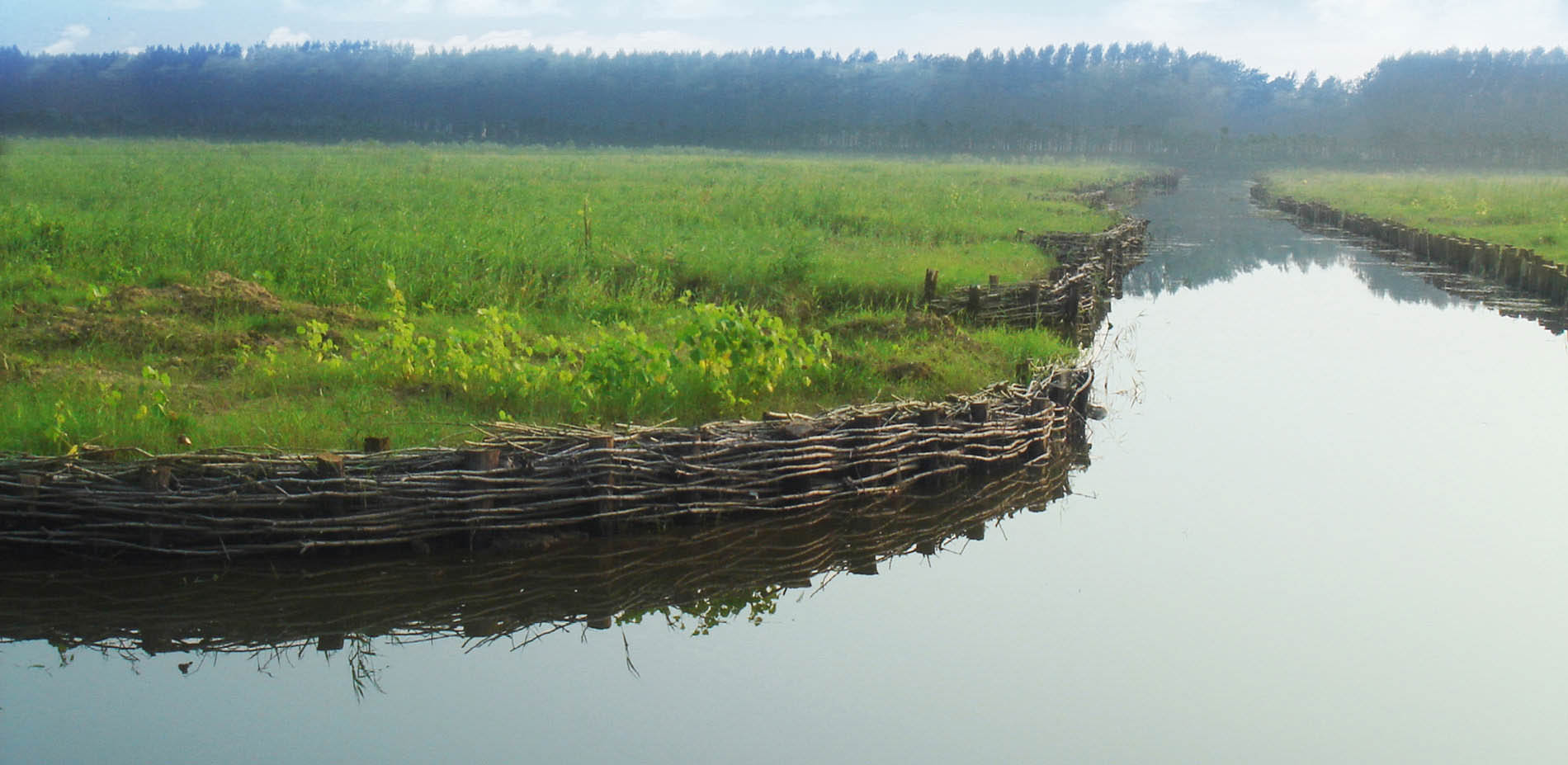 1563780284782831.jpg 14.jpg