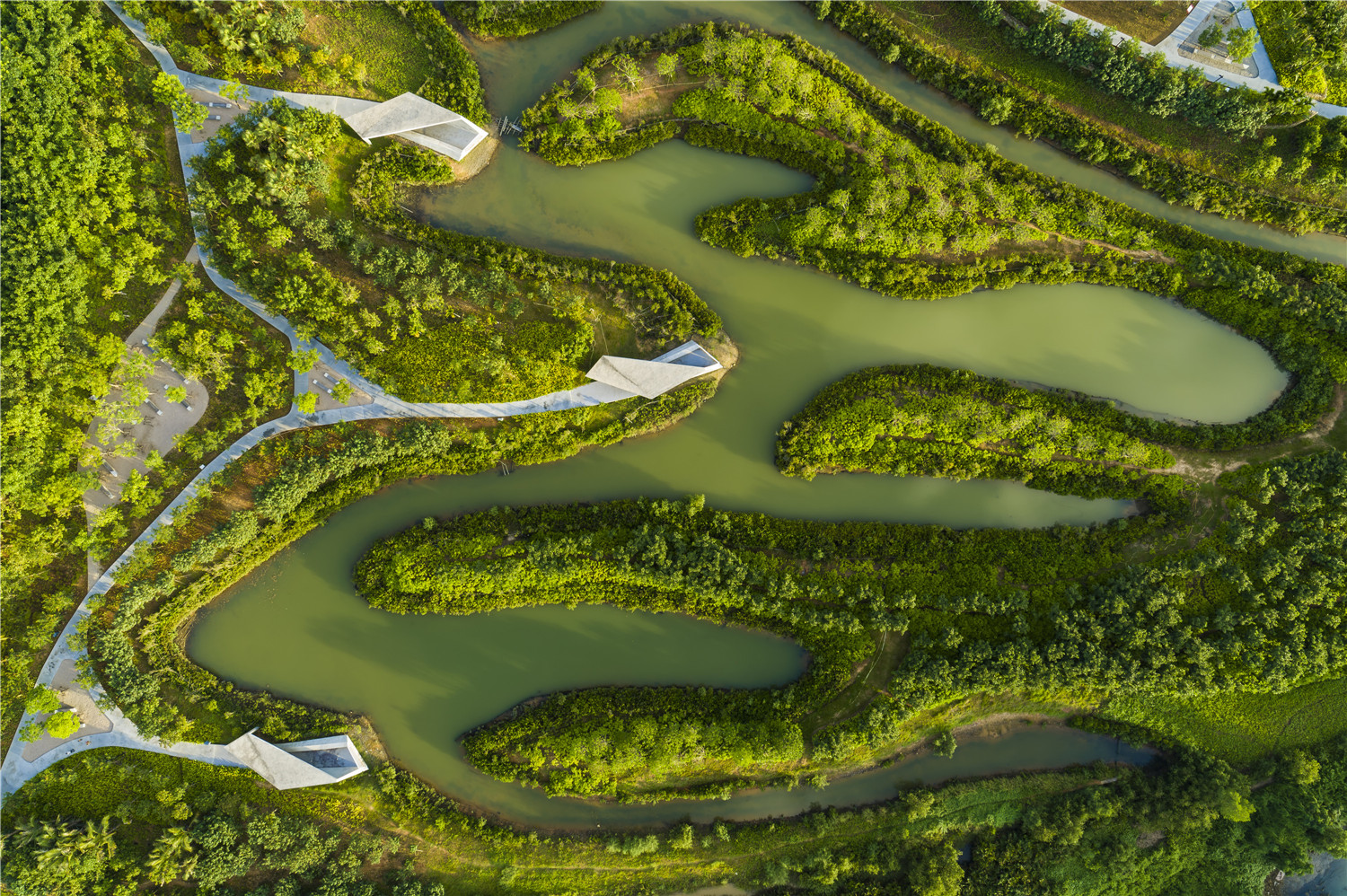 1564622896311386.jpg 06 Diferent inter-locked fingers.jpg